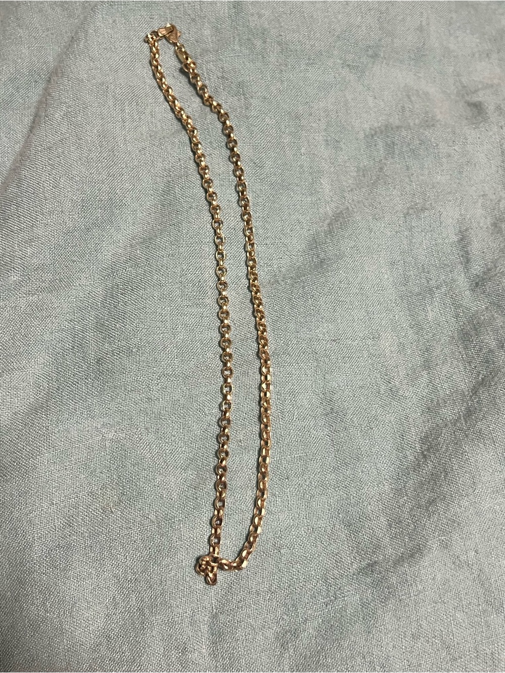 Adina Reyter Gold Rolo Chain Necklace.